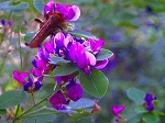 20071018kt01.jpg