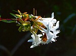 20071018kt02.jpg