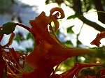 20071018kt03.jpg