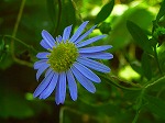 20071018kt05.jpg