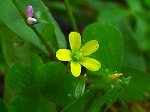 20071018kt06.jpg
