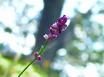 20071018kt07.jpg
