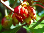 20071018kt09.jpg