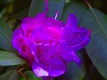 20071018kt10.jpg