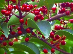 20071018kt13.jpg