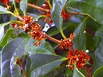 20071018kt15.jpg