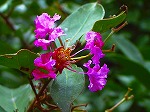 20071018kt17.jpg