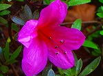 20071018kt18.jpg