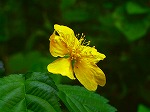 20071018kt19.jpg