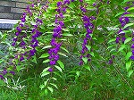 20071018kt20.jpg