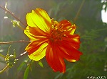 20061020msg04.jpg