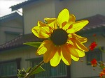20061020msg05.jpg