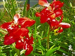 20061020msg11.jpg
