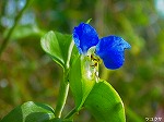 20061020msg12.jpg