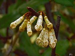 20061020msg18.jpg