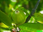 20061020msg19.jpg