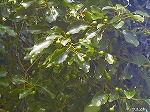 20061020msg23.jpg