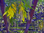 20061020msg25.jpg
