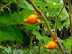 PB030022.jpg