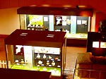 PB030035.jpg