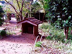 PB030053.jpg