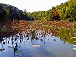 PB030060.jpg