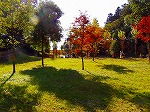 PB030064.jpg