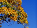 PB030068.jpg