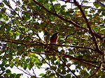 PB030075.jpg
