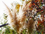 PB030077.jpg
