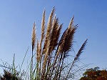 PB030078.jpg