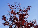 PB030081.jpg