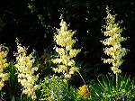 PB030083.jpg