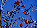 PB030088.jpg