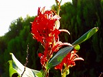 PB030090.jpg
