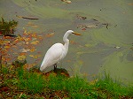 20071120kt04.jpg