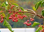 20071120kt05.jpg
