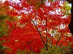 20071120kt06.jpg