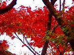 20071120kt07.jpg