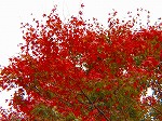 20071120kt10.jpg