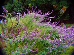 20071120kt12.jpg