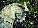 20071120kt14.jpg