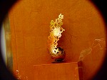 20071120kt16.jpg