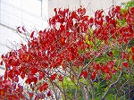 20071120kt19.jpg