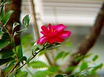 20071120kt20.jpg