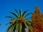 DSC08214.jpg