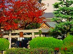 DSC08220.jpg