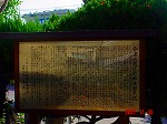 DSC08221.jpg