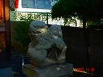 DSC08222.jpg