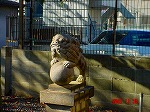 DSC08227.jpg